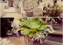 Hot wedding trends 2013