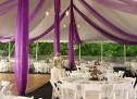 Plan a gorgeous wedding- choose from Top 10 wedding books