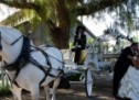 How to plan a Cinderella wedding theme